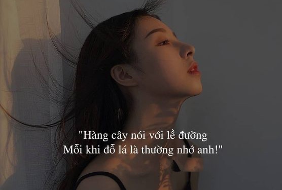 99+ Cap thả thính sang chảnh cho nữ, cưa đổ crush trong tích tắc