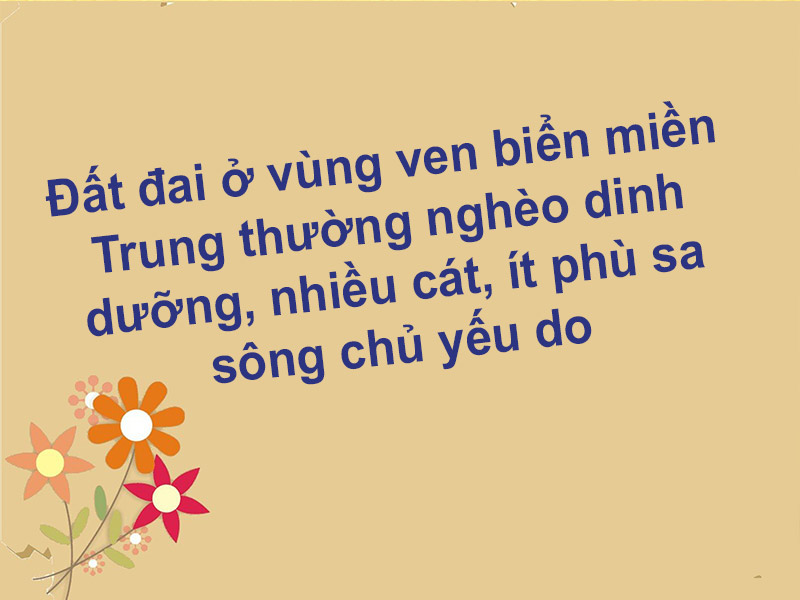 Đất đai ở vùng ven biển miền Trung thường nghèo dinh dưỡng, nhiều cát, ít phù sa sông chủ yếu do