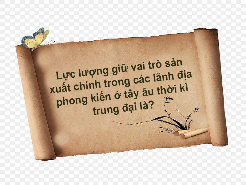 Lực lượng giữ vai trò sản xuất chính trong các lãnh địa phong kiến ở tây âu thời kì trung đại là?