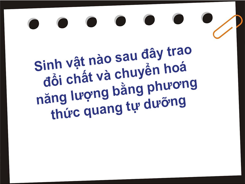 Loài vi sinh vật nào sau đây có hình thức dinh dưỡng là quang tự dưỡng