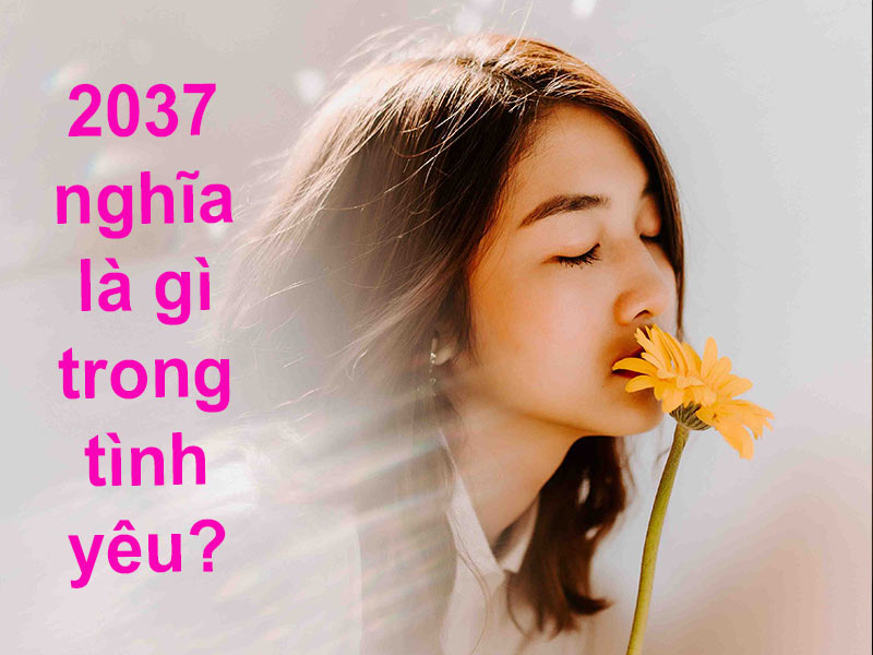 2037 nghĩa là gì trong tình yêu? Cách dùng trên Facebook, TikTok