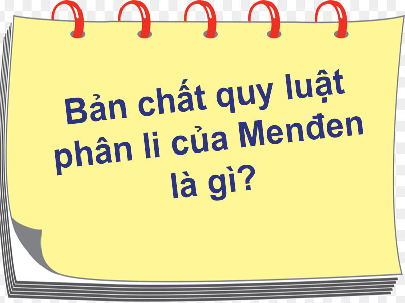 Bản chất quy luật phân li của Menđen là gì?