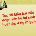 Top 10 Mẫu bài viết đoạn văn kể lại sinh hoạt lớp 4 ngắn gọn