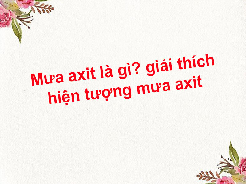 Mưa axit là gì? Giải thích hiện tượng mưa axit