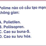 [Giải đáp] Polime nào có cấu tạo mạng không gian?