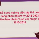 so-cuoc-ngung-viec-tap-the-cua-cong-nhan-nhiem-ky-2018-2023-giam-bao-nhieu